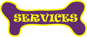 Services